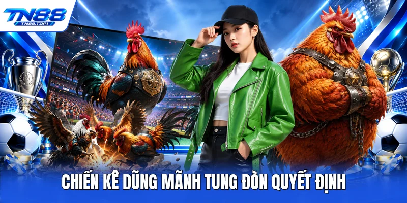 Chiến kê dũng mãnh tung đòn quyết định Chiến kê dũng mãnh tung đòn quyết định
