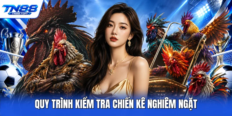 Quy trình kiểm tra chiến kê nghiêm ngặt